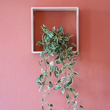 Appartement Le Petit Chez Vous - T1 Bergerac -2 Pers Extérieur photo